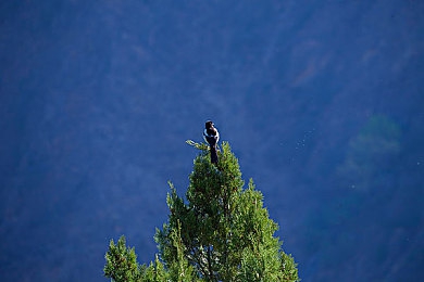 夫妻3p绿帽:极速伴侣创新三角竞速,策略与默契的终极考验-3