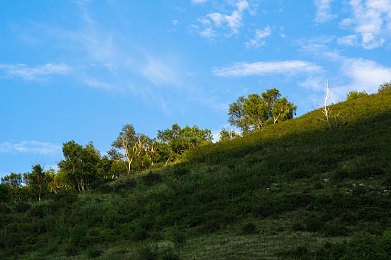 男生和女生免费差差差：极速无界，定制与竞速的多元方向盘-2
