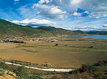 世界上不安的llll：在焦土之上，以轮胎刻写生存法则的竞速诗篇-3