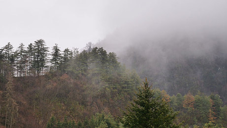 黄色app软件下载大全免费OPPO：OPPO平台竞速游戏精选，极致体验与安全下载指南-2