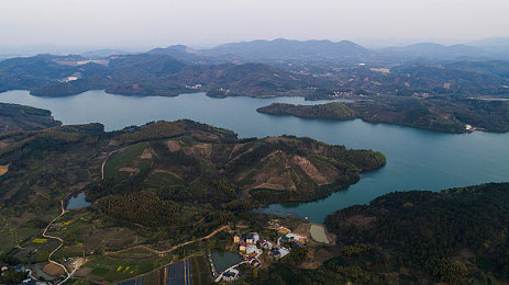 成年人黄色软件：霓虹幻影，极速深渊的调校诗篇-2