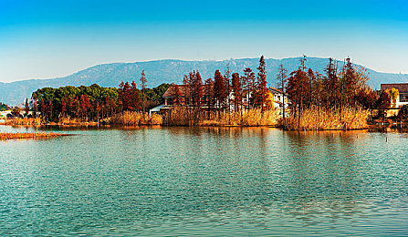 国产乱伦社：家族暗战今日上线，东方宅院中的权力博弈与道德困境全解析-4