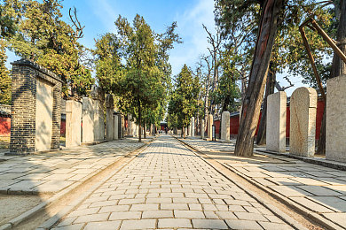 鲍管分拣中心排行榜：疾速驰骋，智能调度，全球汽车物流模拟之旅-3