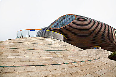 按摩到高潮：在墨西哥的脉搏上，与机械灵魂共舞的感官诗篇-2