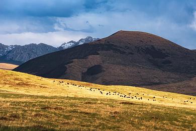 查查查查很痛免费：硬核碰撞模拟器登场，体验极致真实的赛车损伤艺术