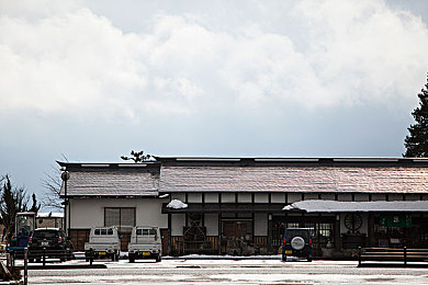 生物老师上课亲自当教材：变异求生新纪元，动态基因重组系统打造个性化末日生存指南-4