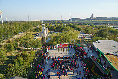 色大师在线观看：驾驭色彩与速度，在极限调色师中绘制赛道艺术-3