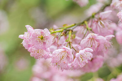麻豆工作室：极致调校，在虚拟车间雕琢你的冠军座驾