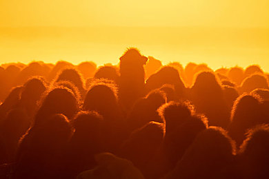 极端奴役性受虐狂：征服拟真赛道，在极致痛楚中体验掌控的终极快感-3