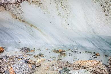 黄色的软件APPvivo:极速黄潮街头竞速今日上线,高帧率优化与视觉美学引领移动赛车新风潮-1