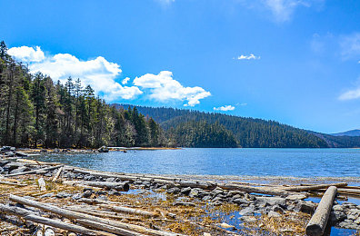 vivo黄色app:霓虹都市极速狂飙今日上线,全新车辆定制与赛道互动机制揭秘-3