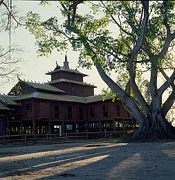 无尽 可爱 动漫 得到：萌系引擎启动，驶入治愈幻想公路的收集之旅-2