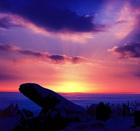 faxxmaxx：硬核赛车新作登场，改写竞速规则的代码狂飙之旅-2