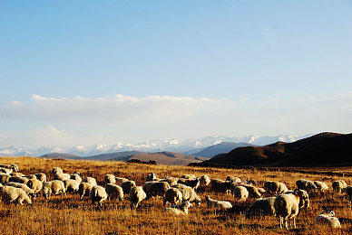 亚洲一区亚洲二区亚洲三区：竞速版图风云，驾驭三区文化的速度哲学-2