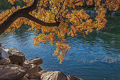 夫妻三人行老婆的心路历程：情感策略与极速抉择，赛车游戏中的三角平衡艺术