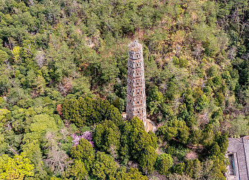 日本调教：东京弯道，静谧的机械美学与匠人指尖-3