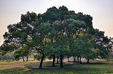 女生让男生郎诵自己：声控竞速新作今日上线，用你的声音驾驭赛道猛兽-2
