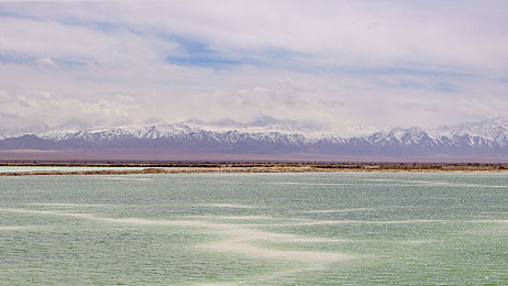 黄色软件下载3.0.3每天无限三次：每日免费黄金氮气三次，极限街头狂飙全新策略时代开启-3