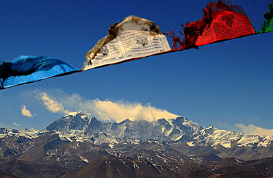 火辣辣成人福利app导航：速度与个性极致释放，最新高自由度赛车游戏深度攻略与赛道解析-3