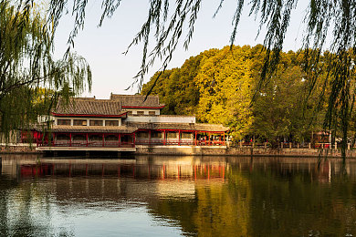 viov黄色软件：极速都市霓虹狂飙，传奇黄色跑车性能解析与实战攻略-2