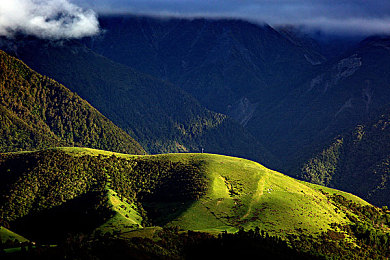 公猪配种女人能活吗:基因边缘,异星牧场的生存博弈-2