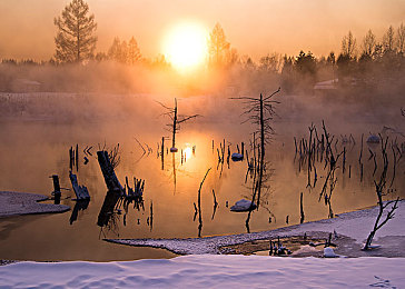 五月婷婷五月丁香：《极速绽放》今日上线，驾驶经典车穿越花海竞速-3