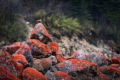 黄色APP免费下载软件：疾驰墨西哥，免费获取柯尼塞格季节攻略与视觉盛宴