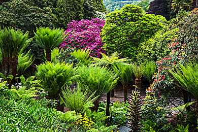 两个人在一起拔萝卜：双人越野协作，挑战巨型能源核心的拉力之旅-3