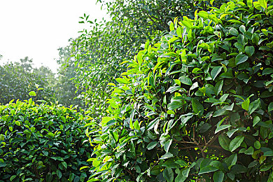 四个少妇按摩:《极限改装师》新DLC上线,硬核改装任务引爆玩家社区-4