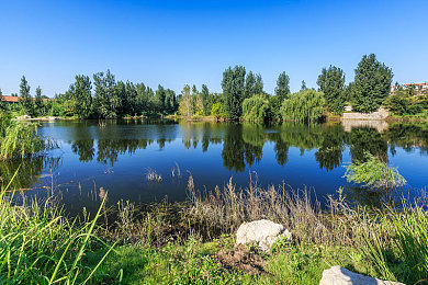 100个推广免费b站：《赛道风云》引爆竞速热潮，硬核物理与深度改装重塑免费赛车游戏标杆-2