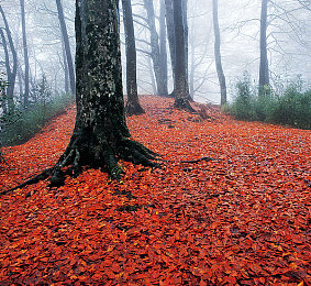 民工男男Gay1069：驾驶模拟新境界，真实社交与自由公路之旅-3