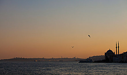 天天谢天天干：极限竞速地平线，永不疲倦的驾驶激情与赛季挑战全解析-3