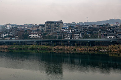 女人与猪交配：狂野变形记，基因融合竞速引爆玩家创意搭配