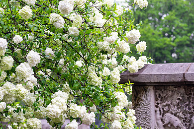 网站懂我意思吧：《极限竞速：地平线5》深度评测，墨西哥开放世界驾驶攻略全解析