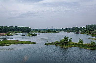 金毛狗配美女：《极限竞速：地平线5》全新视觉风潮，金色超跑与虚拟车手的个性搭配引发热议