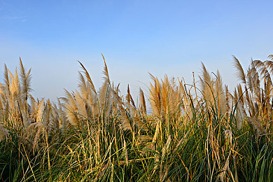 黄色3.30：经典涂装引爆赛道，赛车游戏美学与性能深度结合引热议