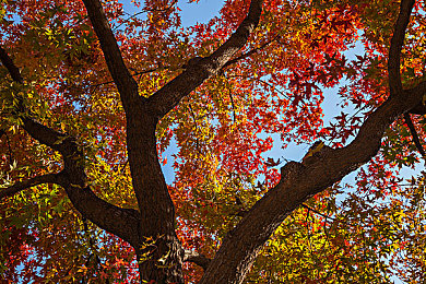 黄三色是黄三色搭配还是红三色：极速画布，赛道调色盘上的叛逆艺术-1