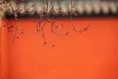 差差动漫sss：跨次元竞速新作登场，动漫美学与硬核驾驶的完美融合-3