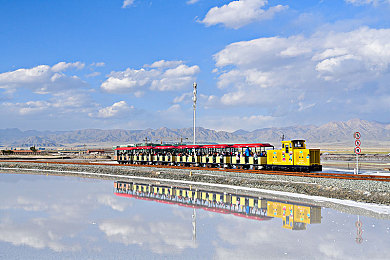 黄网站app软件下载安装免费版手机可以用吗：极速征程，揭秘赛道背后的真实竞速世界-3