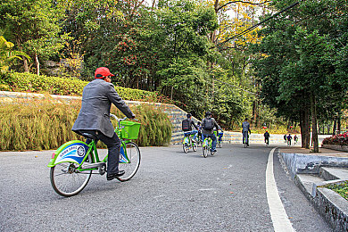 男生困困在女生困困里的：霓虹都市中的双重身份竞速，体验性别转换的赛车冒险-3