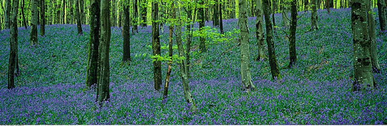 麻豆天美91：虚拟都市竞速传奇，自由驾驶与角色共舞-2