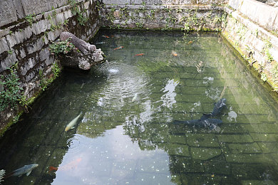 黑料不打：极速狂飙与真相探寻，赛道上的双重竞速之旅-2