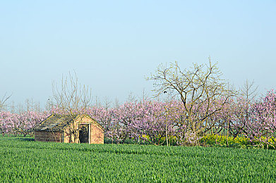 亚州一二区：极速纪元双轨竞速，改装与技术的巅峰对决-2
