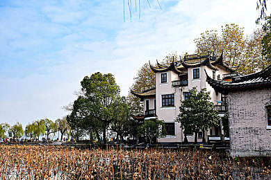 18岁以下不能下载软件：方向盘上的成年礼，虚拟公路的责任契约