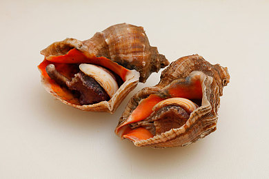 人与性动交zzzzBBBB：驾驭钢铁伙伴，在极限共振中体验人车合一驾驶艺术-2