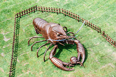 挑花直播：极限竞速地平线5，打造你的专属座驾与个性改装之旅-2