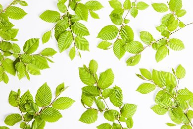 国产亚洲成人av：霓虹街巷，极速光影的东方竞速诗篇-4