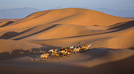 罗宾帮成长期乔巴排毒：疾速诊疗，双人共驭破茧之旅-2