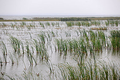 好色tv网站：霓虹飞车视觉狂飙，用色彩驱动极速体验-2