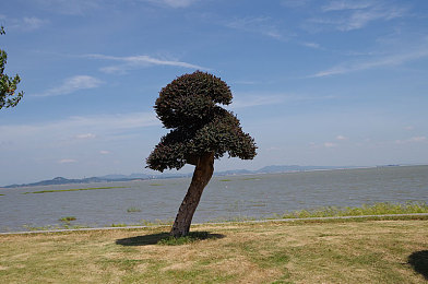 男男一起生产酸奶：双人驾驶与生产管理新游深度评测，协作模拟游戏体验全面解析